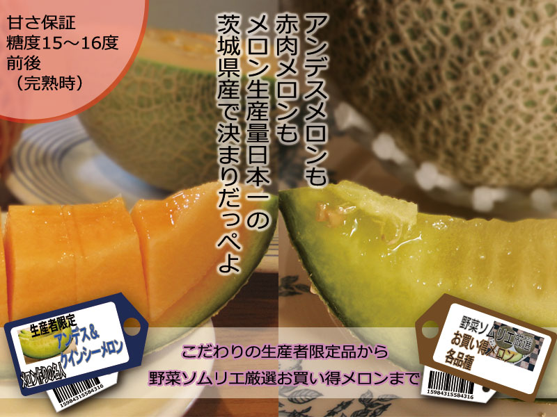 メロンお勧め