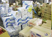 メロン売り場