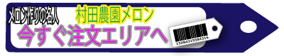 村田農園メロンへ